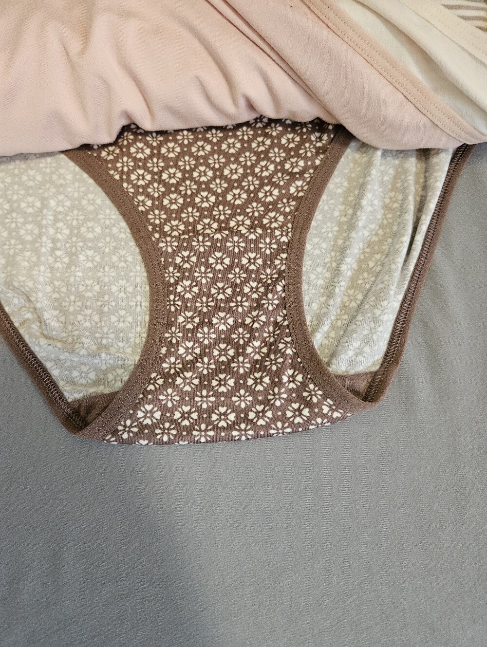NWT Laura Ashley Women's Brief Underwear Pack of 7 Floral Multi, Size XL - Picture 11 of 11